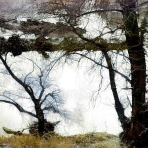 ■ ARTWORK NR. 999008<br> ■ WARTEN AUF DIE FRÜHLING<br> ■ SERIE<br> ■ WAITING FOR THE SPRING<br> ■ SERIES<br> ■ EN ATTENTE DU PRINTEMPS<br> ■ SÉRIE