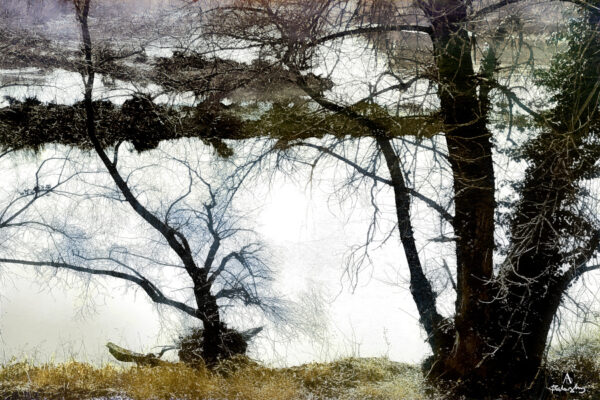 ■ ARTWORK NR. 999008<br> ■ WARTEN AUF DIE FRÜHLING<br> ■ SERIE<br> ■ WAITING FOR THE SPRING<br> ■ SERIES<br> ■ EN ATTENTE DU PRINTEMPS<br> ■ SÉRIE