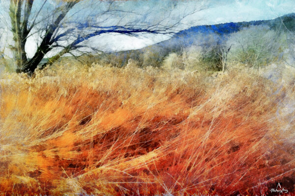 ■ ARTWORK NR. 999010<br> ■ WARTEN AUF DIE FRÜHLING<br>  ■ SERIE<br> ■ WAITING FOR THE SPRING<br>  ■ SERIES<br> ■ EN ATTENTE DU PRINTEMPS<br>  ■ SÉRIE