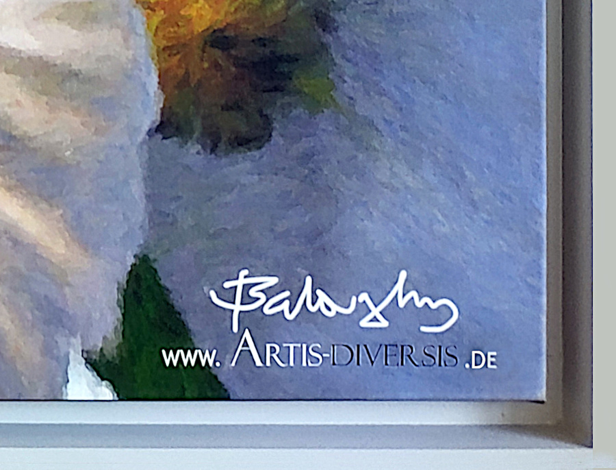 ■ DETAIL - SIGNATUR ■ DETAIL - SIGNATURE ■ DÉTAIL - SIGNATURE