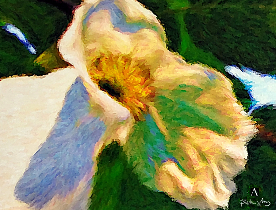 ■ DETAIL 2 ■ DETAIL 2 ■ DÉTAIL 2