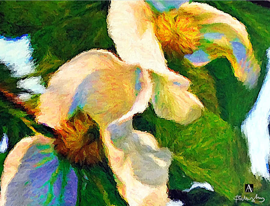 ■ DETAIL 1 ■ DETAIL 1 ■ DÉTAIL 1